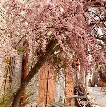 Gite Brin De Nature Au Coeur De La Nature Bugiste Amberieu-en-Bugey Holiday home